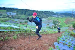 BIB: 
                            <button type="button" onclick="openModal(13385051)" class="btn btn-primary btn-sm float-right btn-popup" data-toggle="modal" data-target=".modal-high-quality">
                        <i class="fas fa-shopping-cart"></i> Add to Cart
                    </button>
                                            <button type="button" onclick="isThisMe(13385051, true)" class="btn btn-success btn-sm float-right btn-popup btn-isme hidden" data-toggle="tooltip" data-placement="bottom" title="นี่คือรูปของคุณใช่ไหม คลิกที่นี่เพื่อเอาเข้าอัลบั้ม">
                        <i class="fas fa-plus"></i> Add to album
                    </button>
                    <button type="button" onclick="isThisMe(13385051, false)" class="btn btn-warning btn-sm float-right btn-popup btn-isnotme hidden">
                        <i class="fas fa-ban"></i> Remove from album
                    </button>